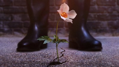 Thế Giới Của Phát Xít (Phần 3) - The Man in the High Castle (Season 3)